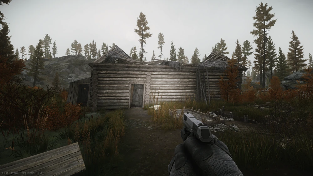 246.webp