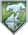 303.webp