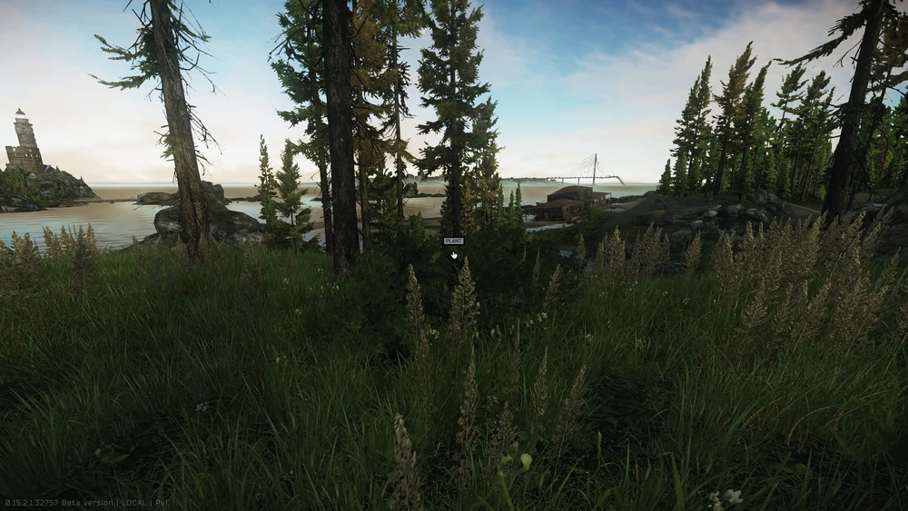 313.webp